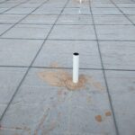 IMG_20220314_193459821
