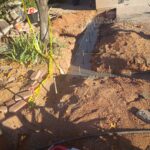 IMG_20251107_162118106